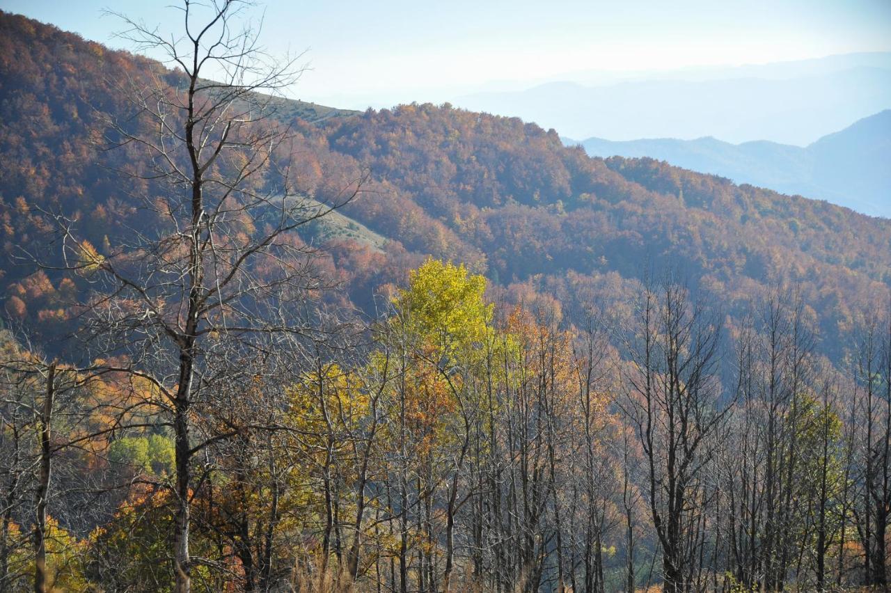 Apartmani Krstojevic Kopaonik Kültér fotó